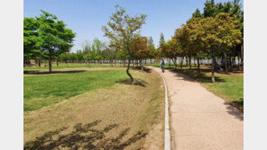 아름다운 풍경에 역사 깃든… ‘인천 걷기 좋은 길’ 103곳 선정