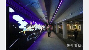 빛과 영상이 어우러진 산책로