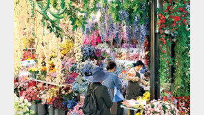 어버이날 앞두고… 발길 이어지는 꽃가게