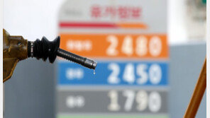 유가 완화 3종 세트에도… 물가잡기 효과는 의문 