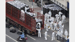 中상하이 봉쇄 아파트서 40대 한인 숨진채 발견 