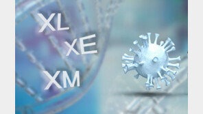 또다른 오미크론 변이 국내 첫 확인… ‘스텔스’보다 확산 빨라 