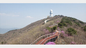 국내 최초 ‘휠체어 등산로’ 조성… 해발 1000m 비슬산 정상까지