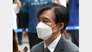 조국, 한동훈 딸 ‘엄마찬스’ 반박 나오자…만평 공유 글 삭제