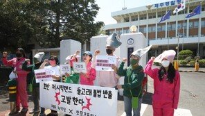 제주 돌고래 불법 반출 의혹…해양환경단체 고발장 제출