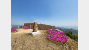 해운대 장산 정상 이르면 이달 중 71년 만에 완전 개방…“공군과 논의”