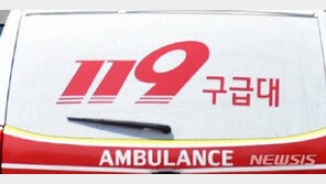 아파트 10층서 추락한 4세, 나뭇가지 걸려 구사일생