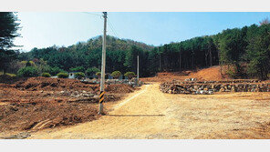 송파에서 30분 거리 저렴한 양평 임야