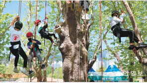 숲에서 나무 오르기 체험