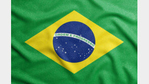 브라질 농장 토사붕괴로 한국인 어린이 5명 숨져