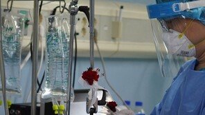 어버이날 기념 어르신 환자들에게 카네이션 선물[청계천 옆 사진관]