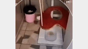 中서 ‘그네형 화장실’ 등장…“청소부는 무슨 죄” 조롱·비난 빗발