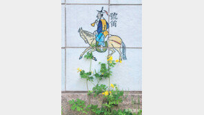 [고양이 눈]벽화 속 애기똥풀