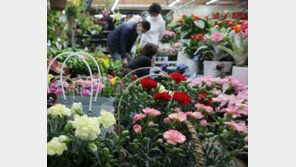 꽃집에도 3년만에 ‘봄’이 왔네요 