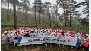 한국중앙자원봉사센터·산림청, 산불 피해 복구 위한 ‘평화의 나무 심기’ 활동 진행