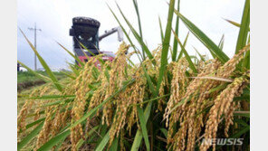 벼·콩·팥 정부보급종 2035t 공급…잔량 소진까지 구매 가능