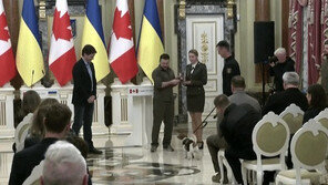 우크라 최전선서 지뢰 수백개 발견한 군견, 국가 훈장