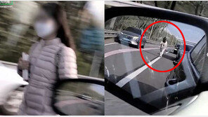 “전교 1등이었는데…” 올림픽대로 활보女의 정체