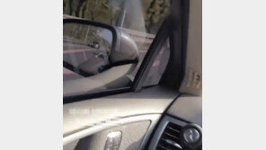 “전교 1등 유학파 여동생이 왜?” 올림픽대로 활보 女 정체