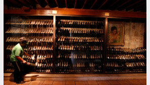 쫓겨난 ‘독재자의 아들’ 복귀 눈앞…36년간 변화 없는 필리핀 정치