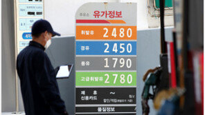 유류세 추가인하에도 국제유가 상승에 ‘속수무책’…“덜 내렸다” 지적도