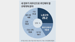 기업 25% “尹정부, 노동개혁 최우선 과제로” 