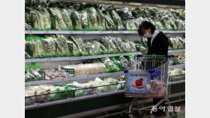 대기업이 이끄는 ‘릴레이 임금인상’… 불붙은 물가상승에 기름 붓나 