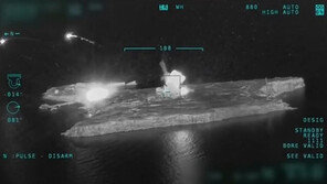 러 상륙함 파괴·뱀섬 공습…우크라 맹렬한 반격