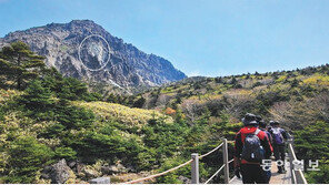 암벽 떨어지는 한라산 백록담… 탐방로가 위험하다