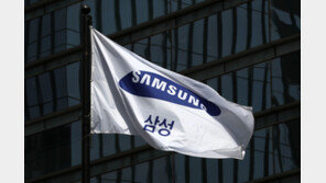 ‘500만 개미’ 물린 삼성전자, 6.5만원 마저 내주나…장 초반 1% 하락