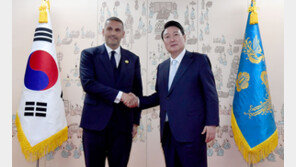 尹 대통령 “UAE 매우 중요한 국가…이른 시일 내 왕세자 뵙길 희망”