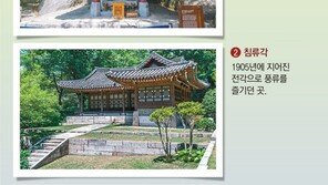 활짝 열린 靑, 통일신라 ‘美男佛’-대원군의 오운정을 만나다