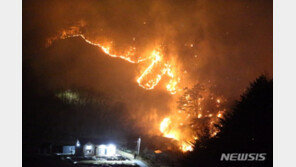 검찰, 강릉옥계 산불 방화범에 징역 15년 구형