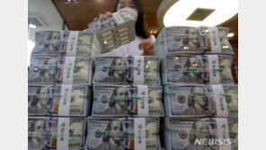 원달러환율 장중 연고점 또 경신…연일 ‘고공행진’