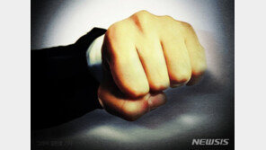 싸움 말리던 30대 때려 숨지게 한 남성, 현행범 체포