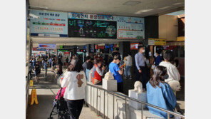 5월 황금연휴에 고속도로 휴게소 매출 46% 증가…“일상회복 효과”