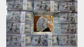 “물가 고통 덜겠다”며 또 현금 뿌리는 美