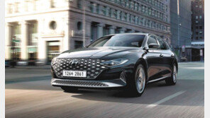 선호도 높은 품목 확대… ‘2022 그랜저’ 나왔다 