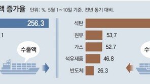 14년만에 3개월 연속 무역적자 ‘경고등’… 정부, 비상경제TF 가동 
