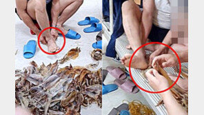 ‘맨발’로 오징어 꾹꾹…포항시 “외국인 선원이 숙소서 촬영”