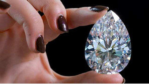 세계 최대 다이아몬드 ‘더 록’ 크리스티서 280억에 낙찰