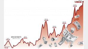 환율 장중 1290원까지 치솟아… 파랗게 질린 증시 