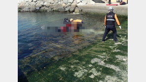 1년새 3차례 차량 추락, 아버지-딸 숨져…“보험금 노린 아들의 고의사고 가능성 수사” 