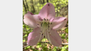 [고양이 눈]꿀맛!