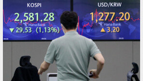 물가·코인에 코스피 ‘깜짝’…“그래도 산다” 개미 8일 연속 순매수