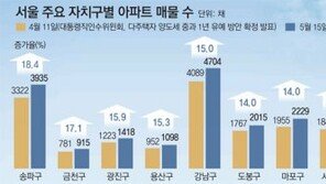 ‘양도세發’ 집값 양극화… 서울외곽 꺾이고 강남 꿋꿋