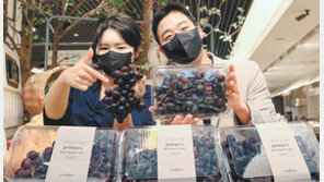 “호주에서 온 블랙애플포도입니다”