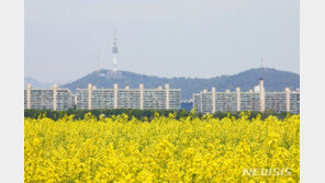 [날씨]서울 낮 최고 27도…수도권·충남 밤사이 미세먼지 ‘나쁨’