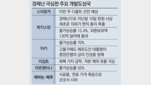 스리랑카 이번주 디폴트 위기… 3중고에 개도국 연쇄 부도 우려