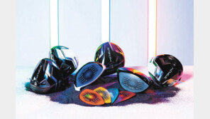 나만의 스텔스 드라이버를 가져봐!